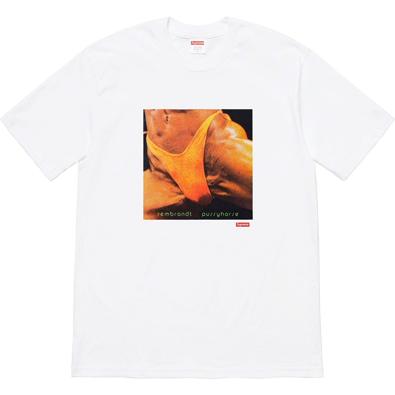Supreme/Butthole SurfersRembrandt Pussyhorse Tee view 4